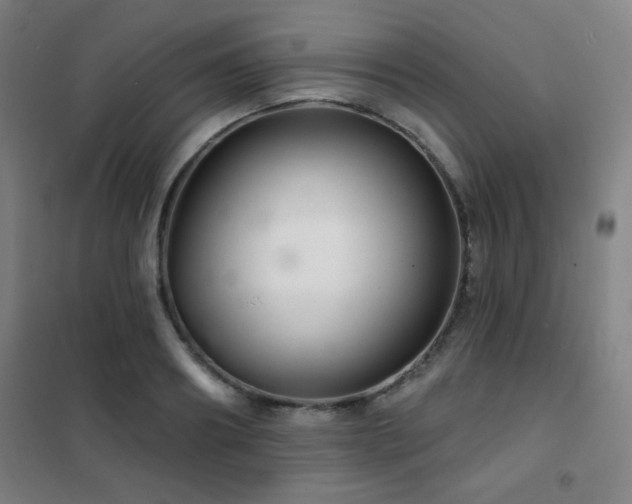 X0000102280890200807251356