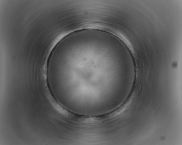 X0000102280891200807251356