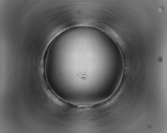 X0000102280892200807251356