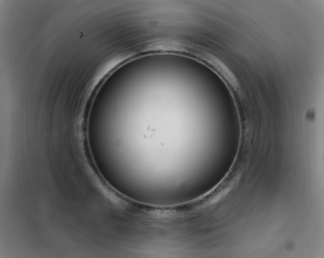 X0000102280893200807251356