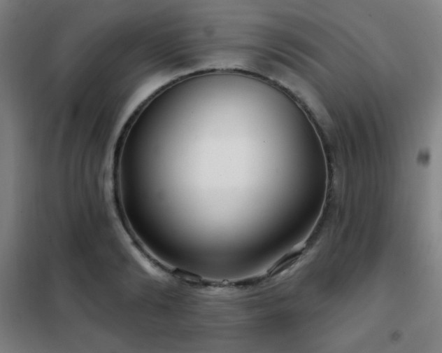 X0000102280894200807251356