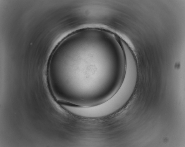 X0000102280895200807251356