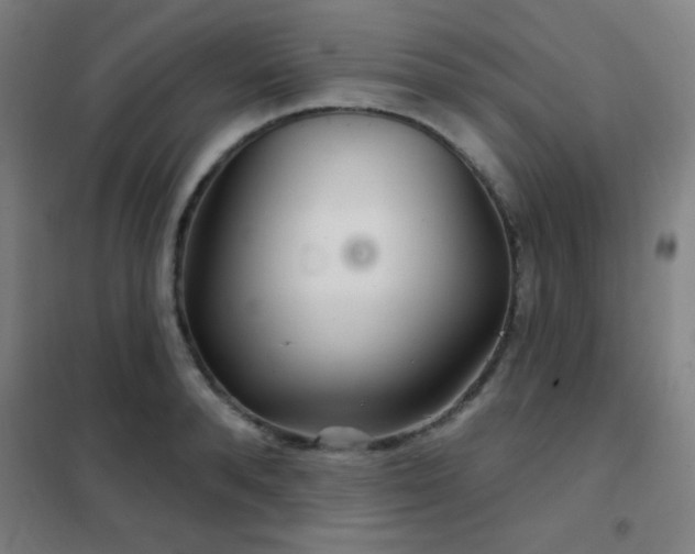 X0000102280896200807251356