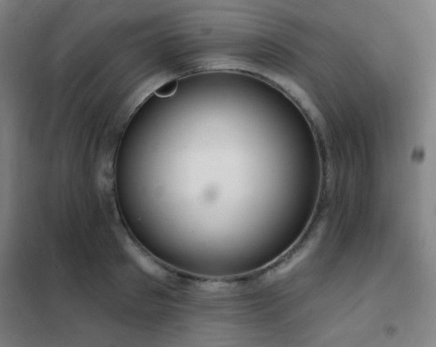 X0000102280897200807251356