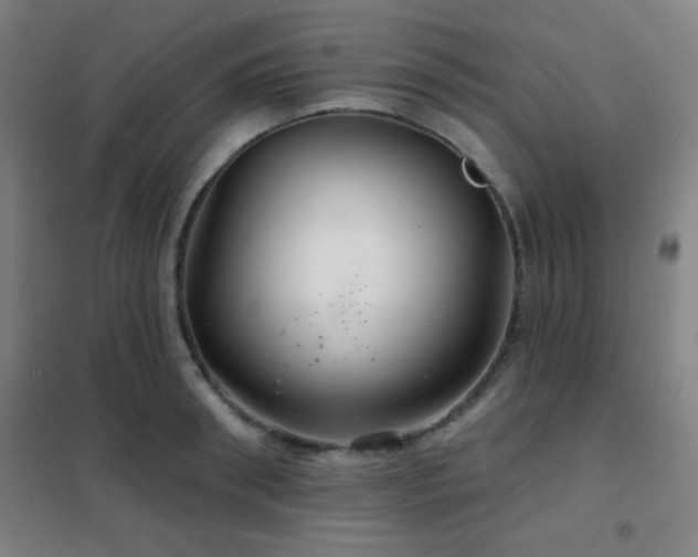 X0000102280898200807251356