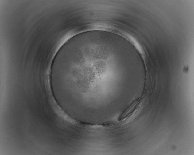 X0000102280899200807251356