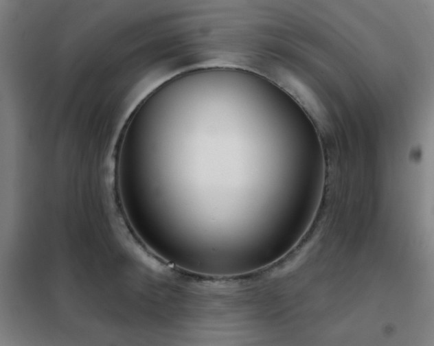 X0000102280900200807251356