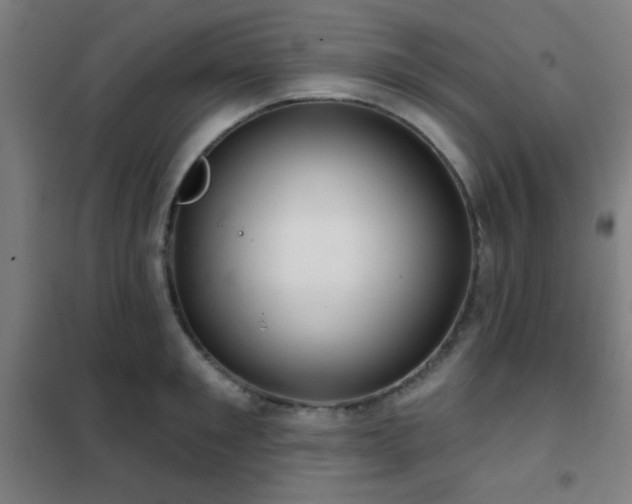 X0000102280901200807251356