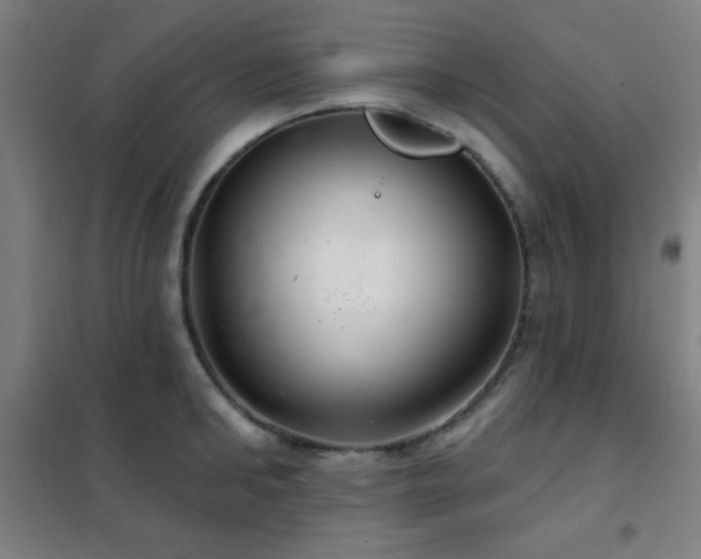 X0000102280902200807251356