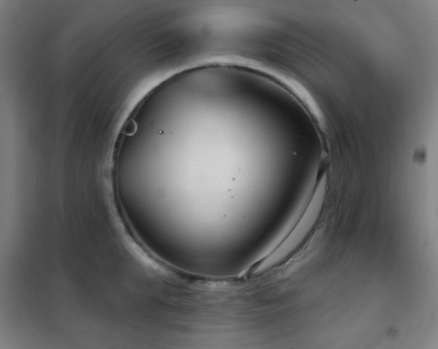 X0000102280903200807251356
