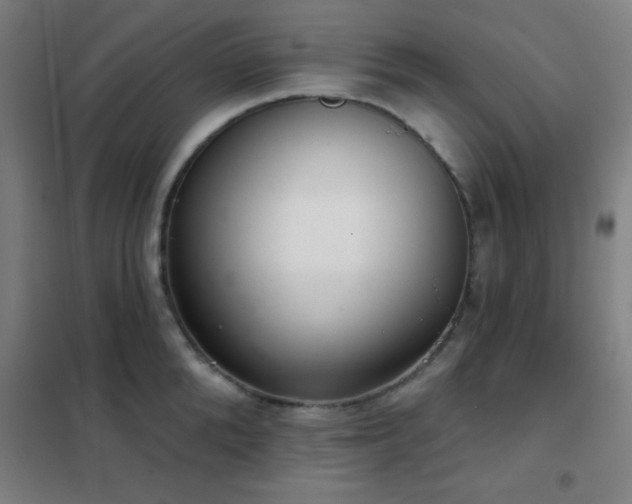 X0000102280904200807251356