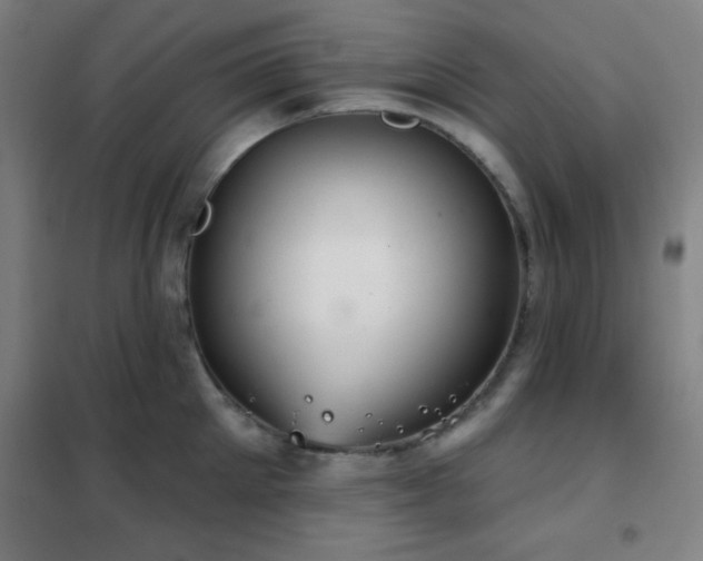 X0000102280905200807251356