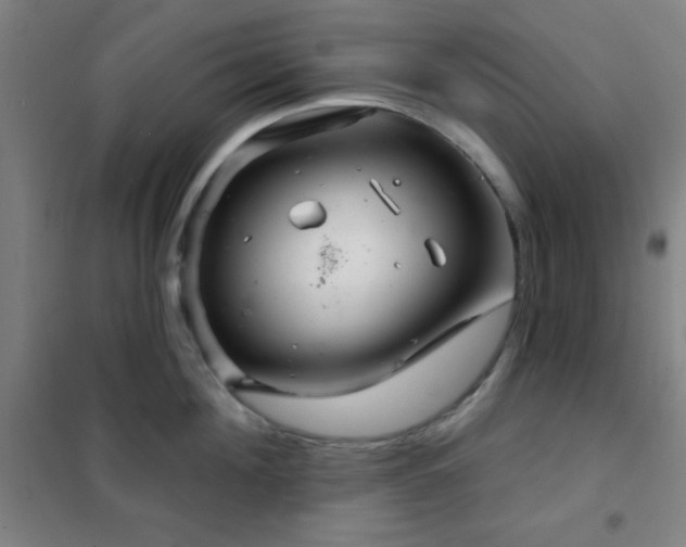 X0000102280908200807251355