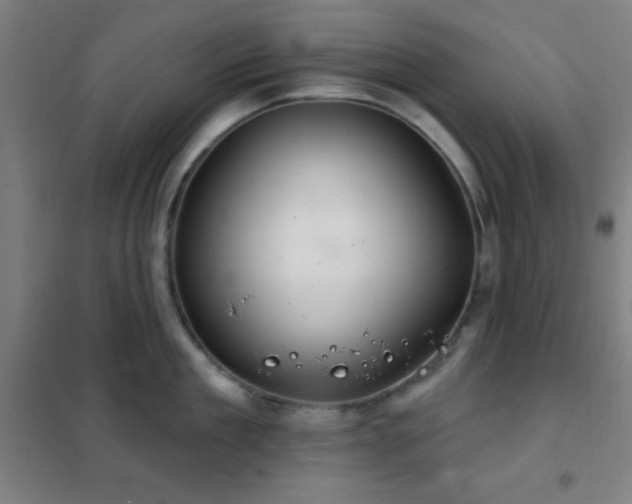 X0000102280909200807251355