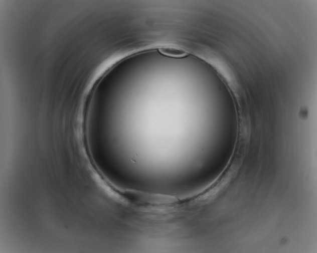 X0000102280910200807251355