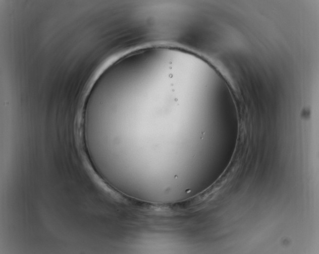 X0000102280911200807251355