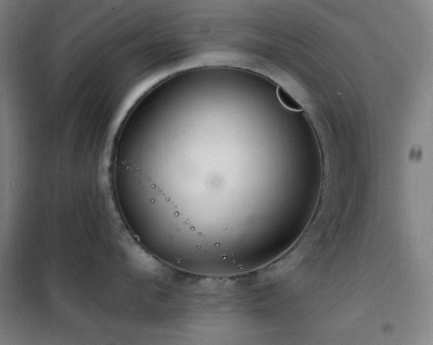 X0000102280912200807251355