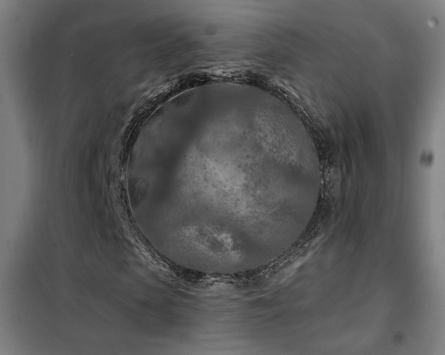 X0000102280913200807251355