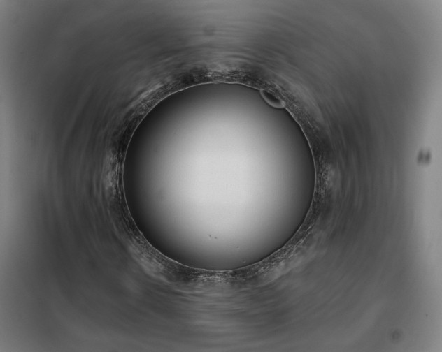 X0000102280914200807251355