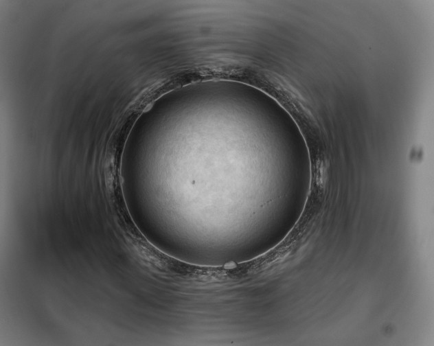 X0000102280915200807251355
