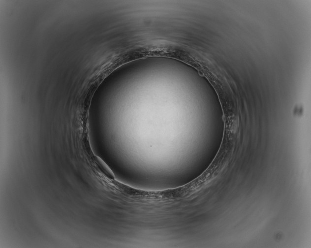 X0000102280916200807251355