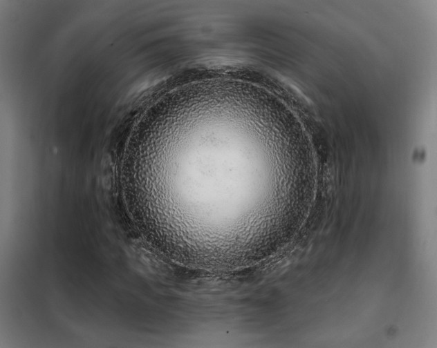 X0000102280917200807251355