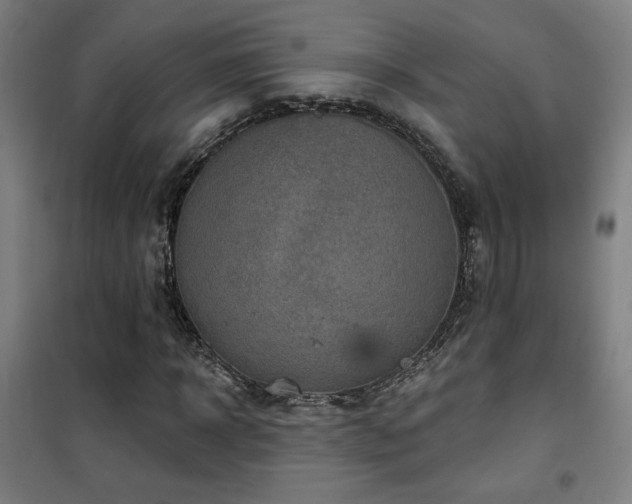 X0000102280918200807251355