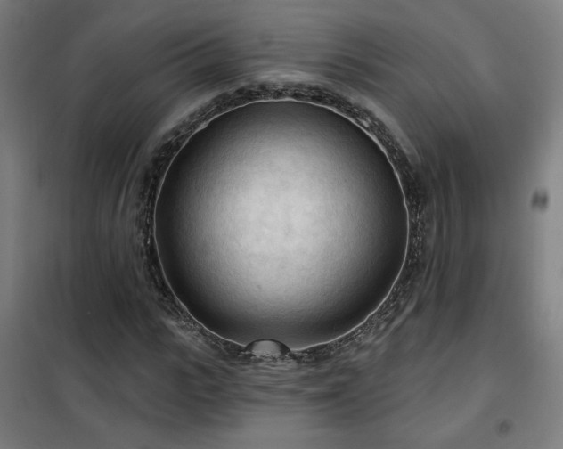 X0000102280919200807251355