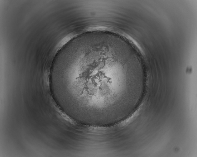X0000102280921200807251355