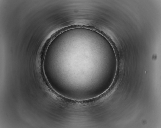 X0000102280923200807251355