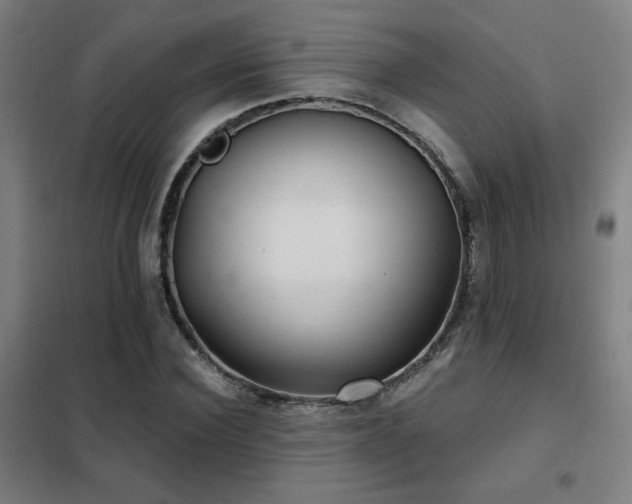 X0000102280924200807251355