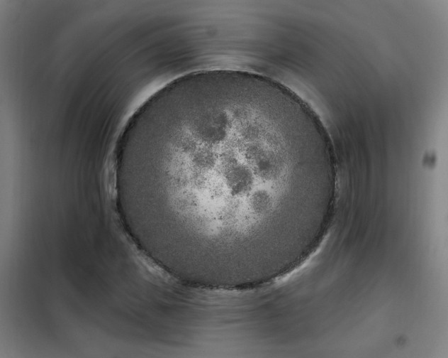 X0000102280925200807251355
