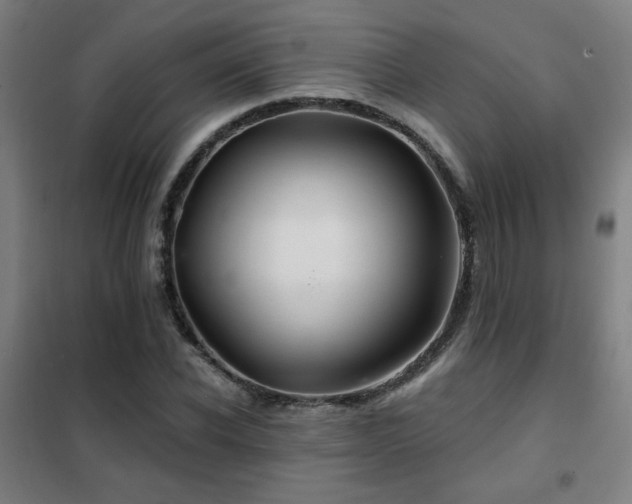 X0000102280926200807251355