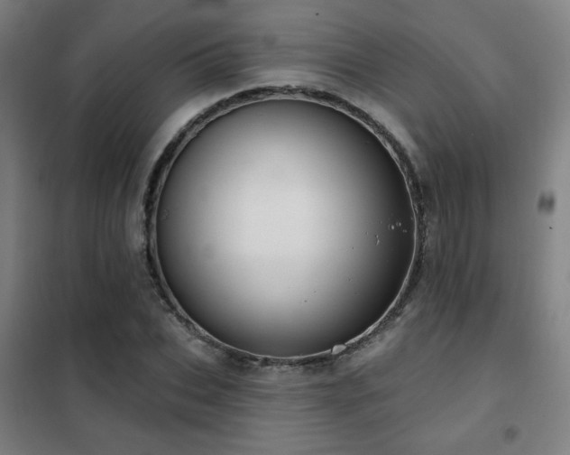 X0000102280927200807251355