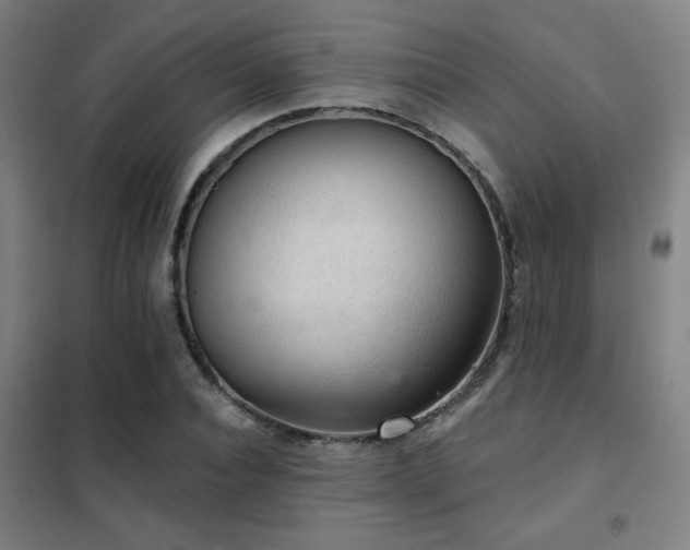 X0000102280928200807251355