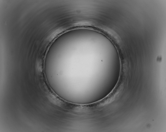 X0000102280929200807251355