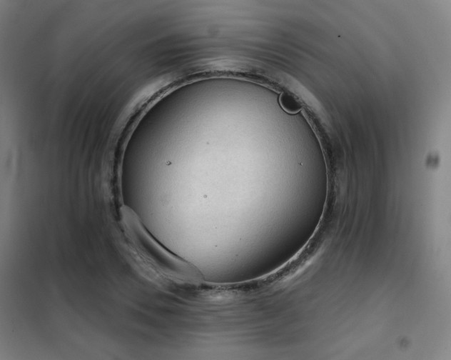 X0000102280930200807251355