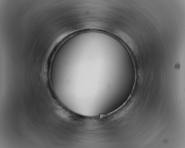 X0000102280931200807251355