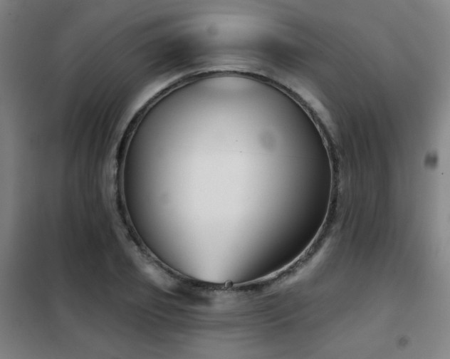 X0000102280933200807251355