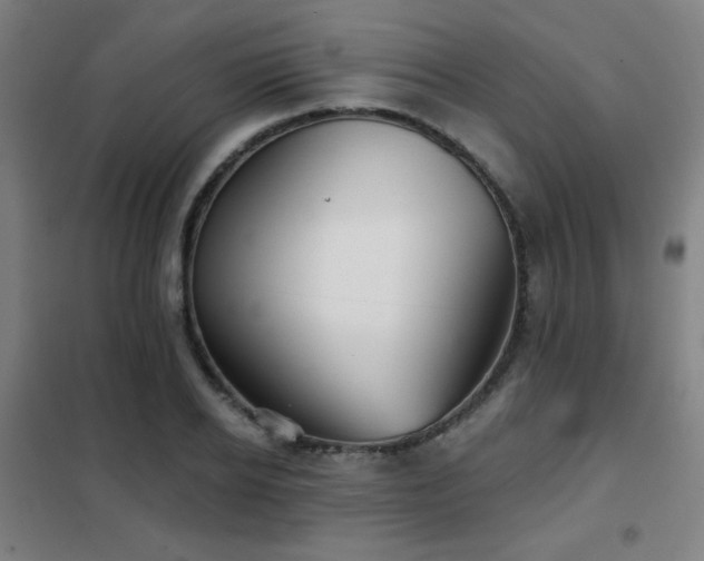 X0000102280934200807251355