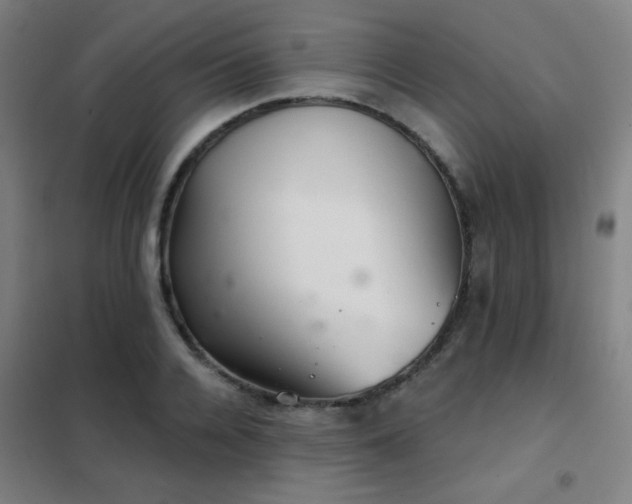 X0000102280936200807251355