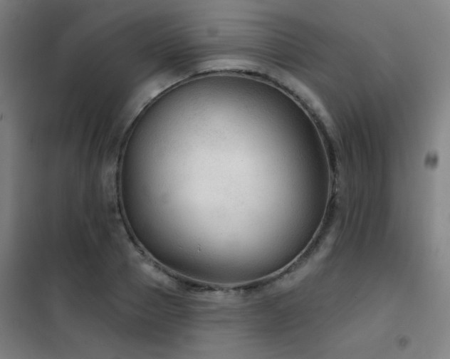 X0000102280937200807251355