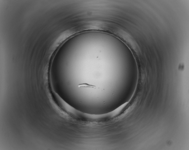 X0000102280938200807251355
