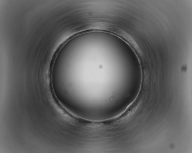 X0000102280939200807251355
