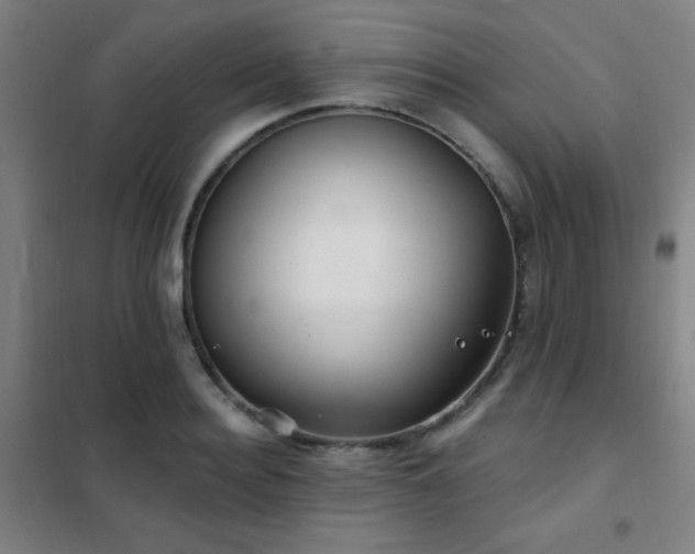 X0000102280940200807251355