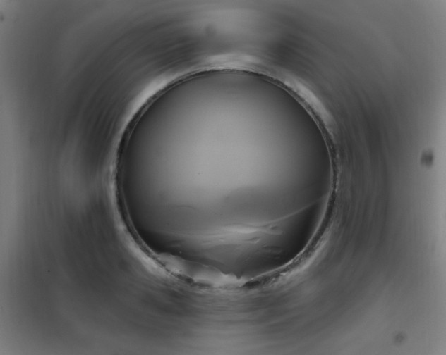X0000102280941200807251355