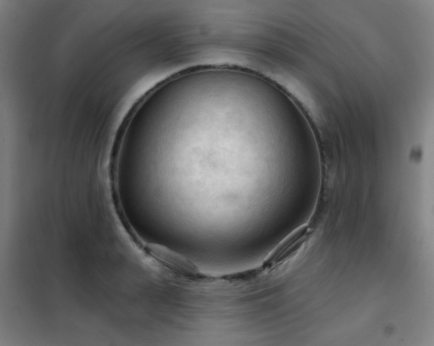 X0000102280943200807251355