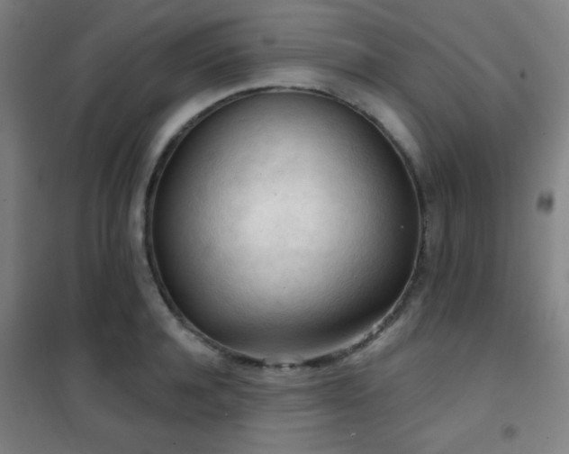 X0000102280944200807251355