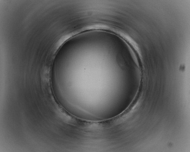 X0000102280945200807251355