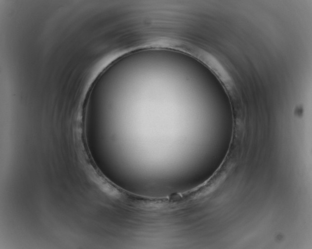 X0000102280948200807251355